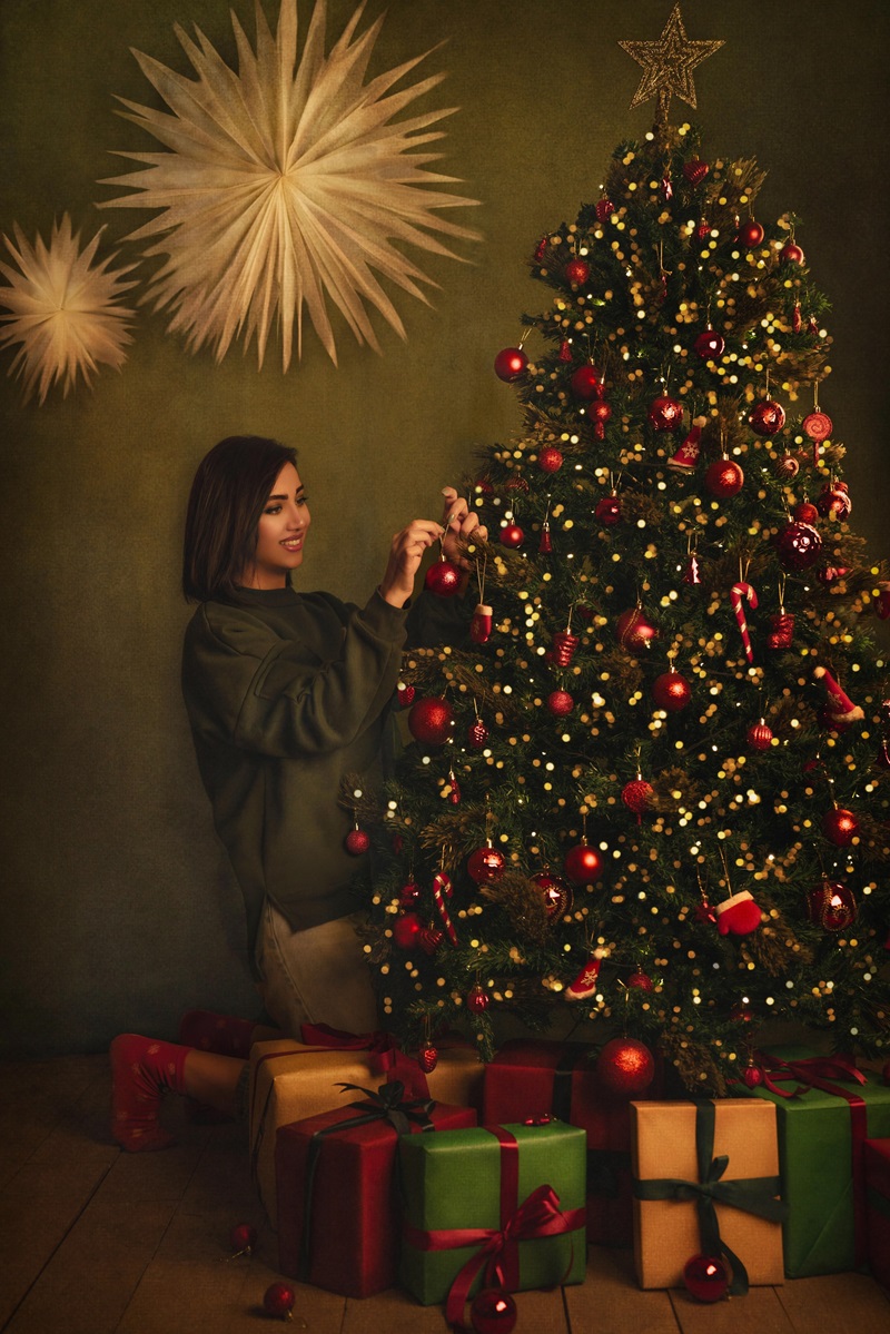 Christmas. Portrait Photographer